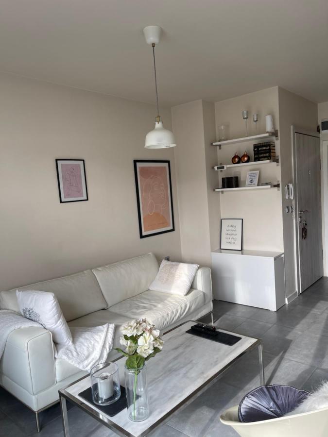 Luxury Apartment